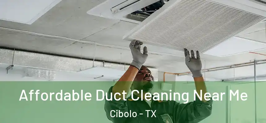  Affordable Duct Cleaning Near Me Cibolo - TX