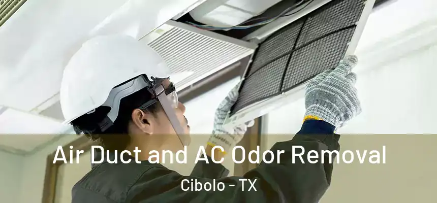  Air Duct and AC Odor Removal Cibolo - TX