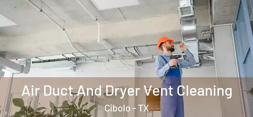  Air Duct And Dryer Vent Cleaning Cibolo - TX