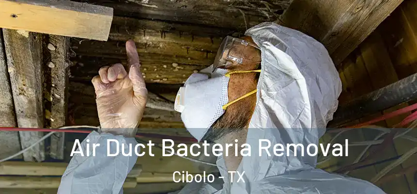 Air Duct Bacteria Removal Cibolo - TX