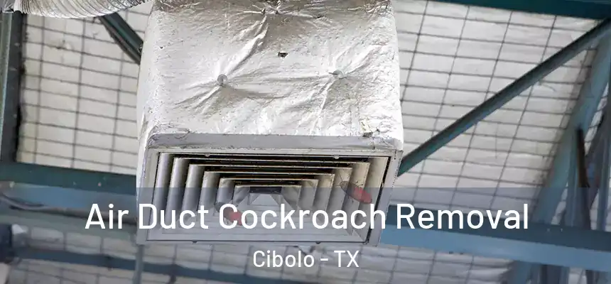  Air Duct Cockroach Removal Cibolo - TX