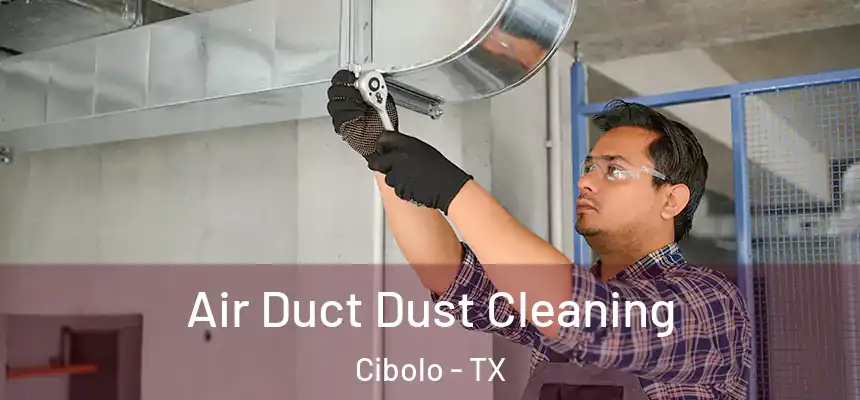 Air Duct Dust Cleaning Cibolo - TX