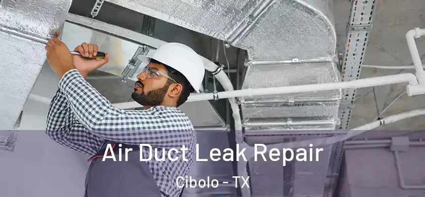  Air Duct Leak Repair Cibolo - TX