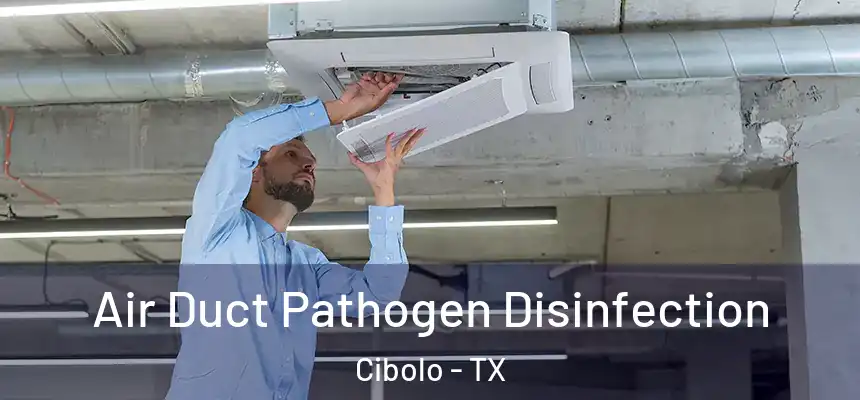  Air Duct Pathogen Disinfection Cibolo - TX