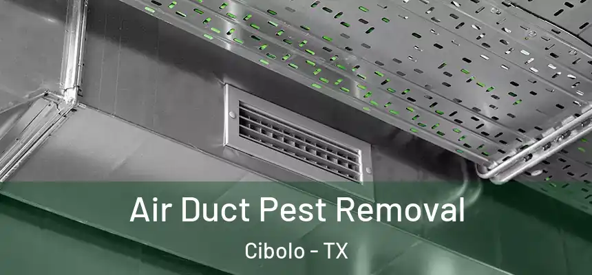  Air Duct Pest Removal Cibolo - TX