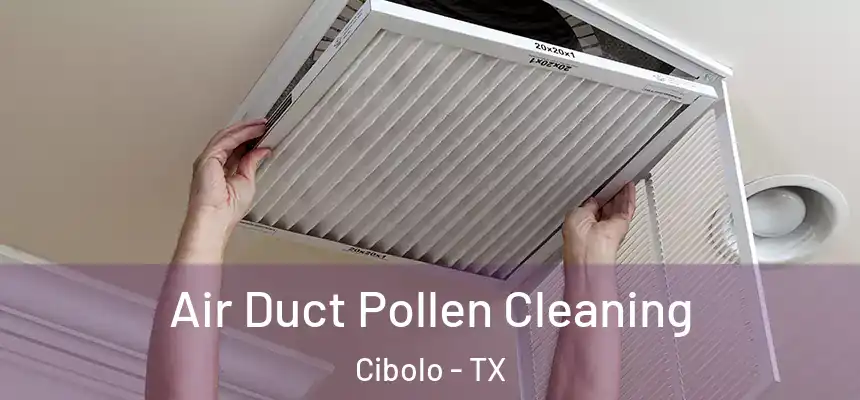 Air Duct Pollen Cleaning Cibolo - TX