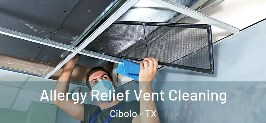  Allergy Relief Vent Cleaning Cibolo - TX