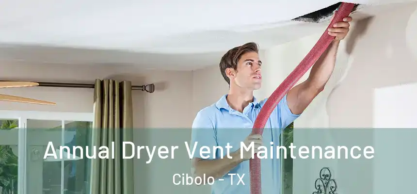 Annual Dryer Vent Maintenance Cibolo - TX