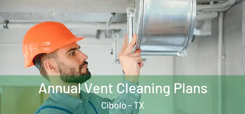 Annual Vent Cleaning Plans Cibolo - TX