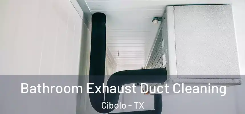  Bathroom Exhaust Duct Cleaning Cibolo - TX