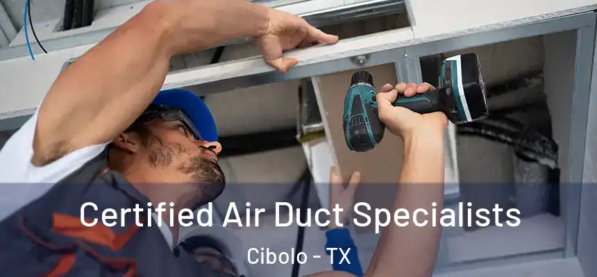 Certified Air Duct Specialists Cibolo - TX