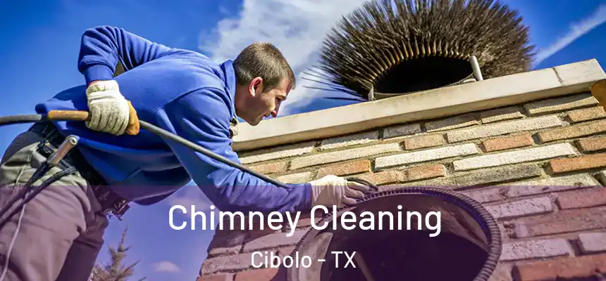 Chimney Cleaning Cibolo - TX