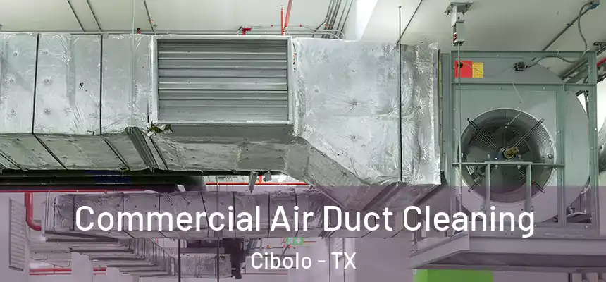 Commercial Air Duct Cleaning Cibolo - TX
