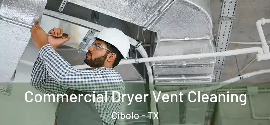 Commercial Dryer Vent Cleaning Cibolo - TX