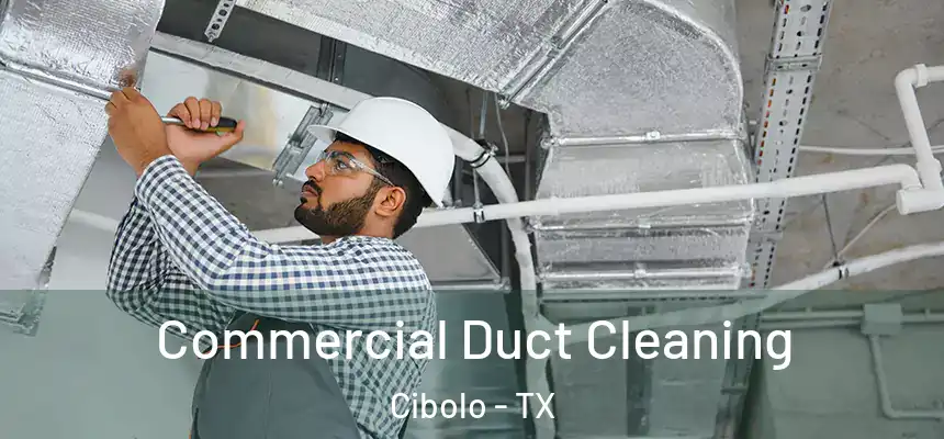 Commercial Duct Cleaning Cibolo - TX