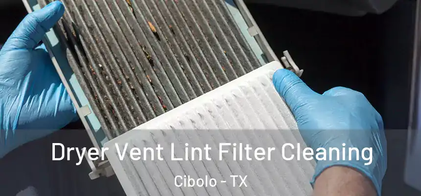  Dryer Vent Lint Filter Cleaning Cibolo - TX