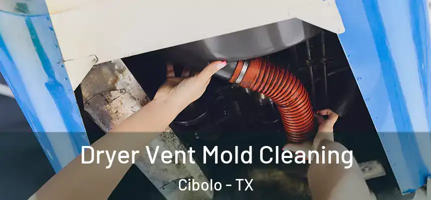  Dryer Vent Mold Cleaning Cibolo - TX