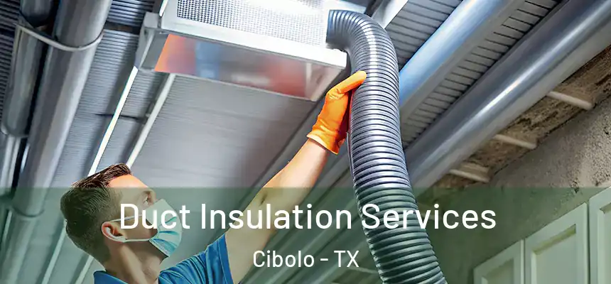 Duct Insulation Services Cibolo - TX