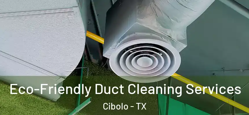 Eco-Friendly Duct Cleaning Services Cibolo - TX