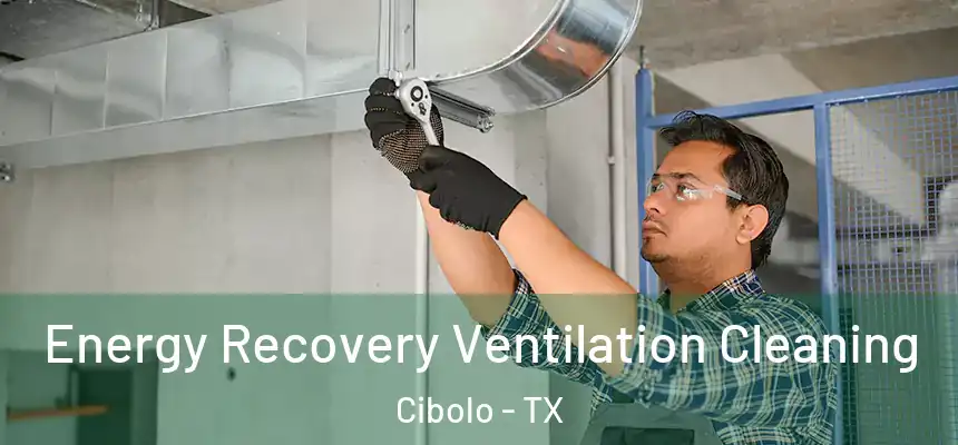 Energy Recovery Ventilation Cleaning Cibolo - TX