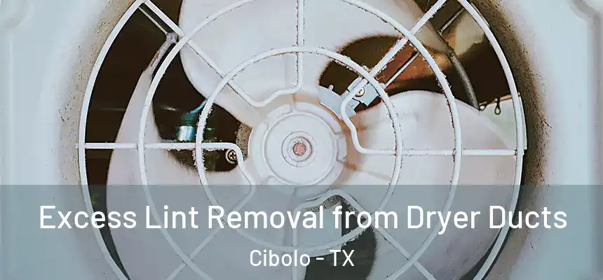 Excess Lint Removal from Dryer Ducts Cibolo - TX