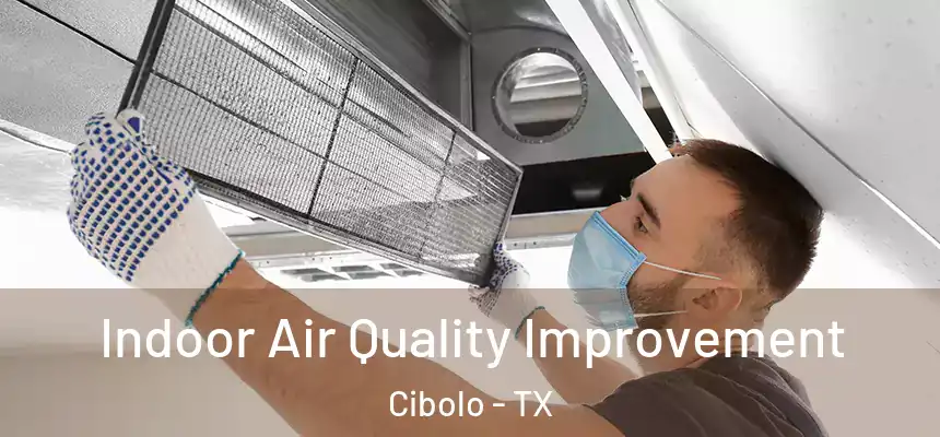 Indoor Air Quality Improvement Cibolo - TX