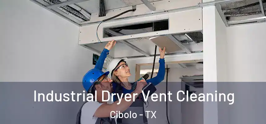 Industrial Dryer Vent Cleaning Cibolo - TX