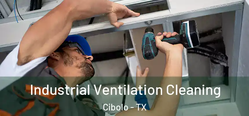 Industrial Ventilation Cleaning Cibolo - TX