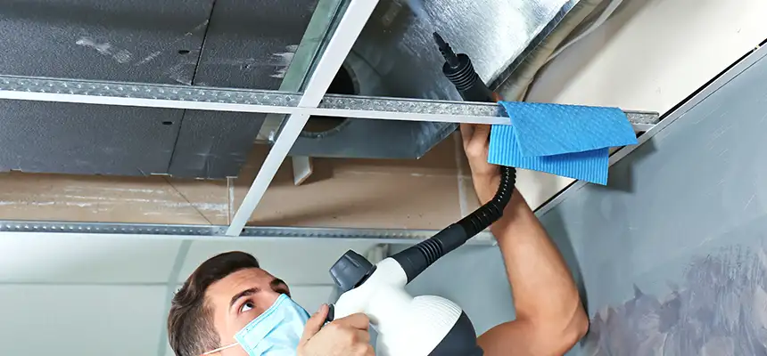 Our Air Duct Rodent Removal Services in Cibolo, TX