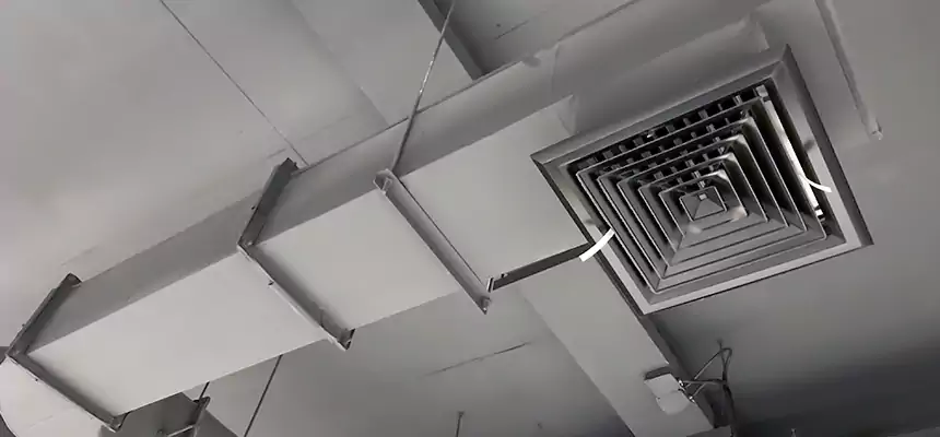 Our Pest Removal From Ducts Services in Cibolo, TX