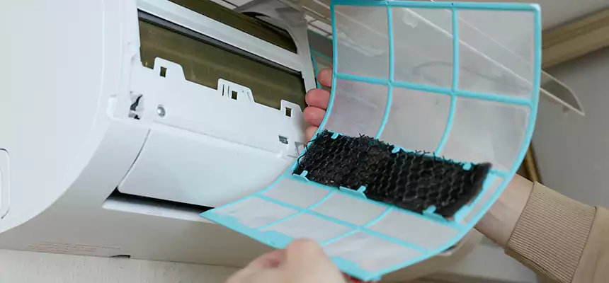 Gentle Ductwork Odor-Control Pet Dander Duct Cleaning in Cibolo, TX