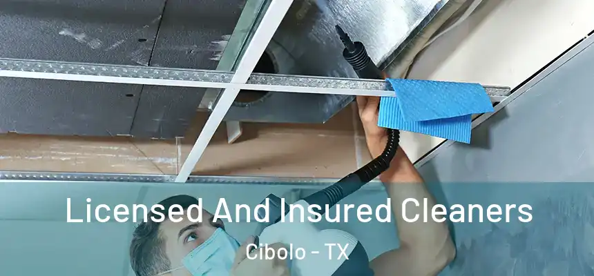 Licensed And Insured Cleaners Cibolo - TX