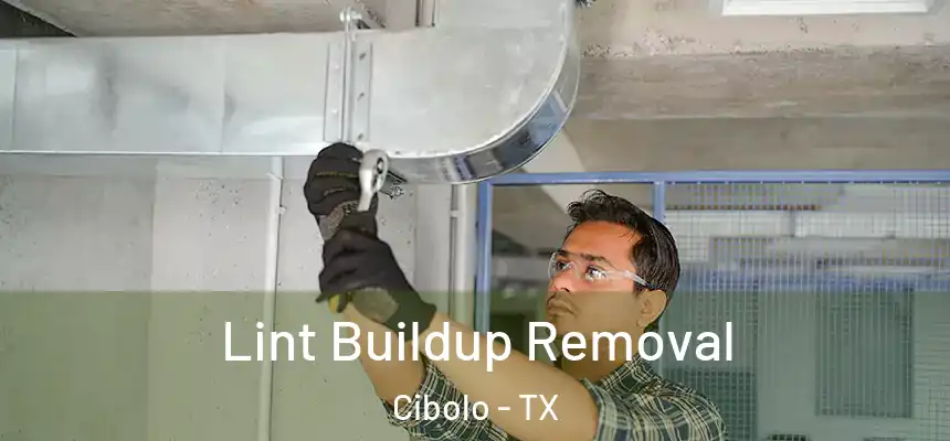 Lint Buildup Removal Cibolo - TX