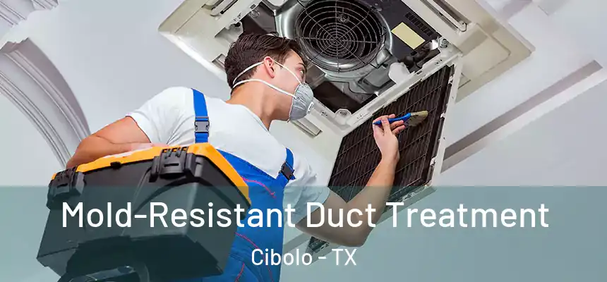  Mold-Resistant Duct Treatment Cibolo - TX