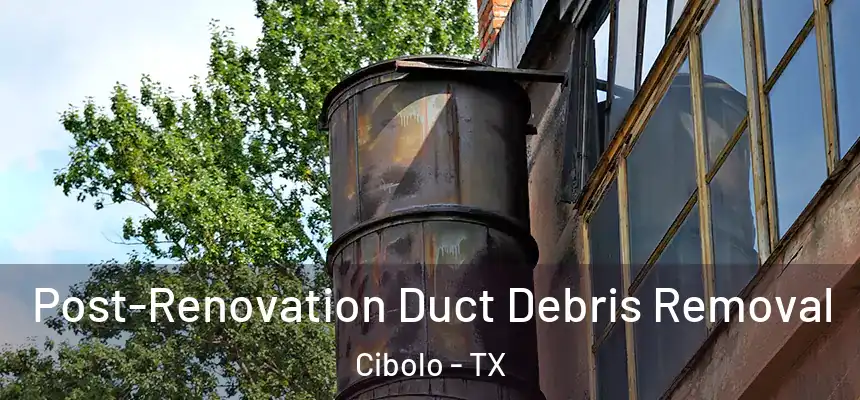 Post-Renovation Duct Debris Removal Cibolo - TX