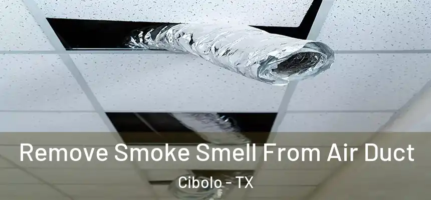 Remove Smoke Smell From Air Duct Cibolo - TX