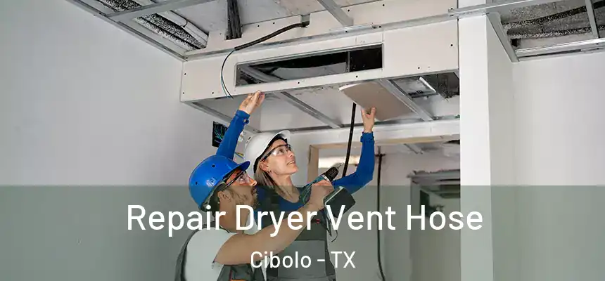 Repair Dryer Vent Hose Cibolo - TX