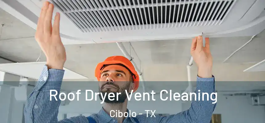 Roof Dryer Vent Cleaning Cibolo - TX