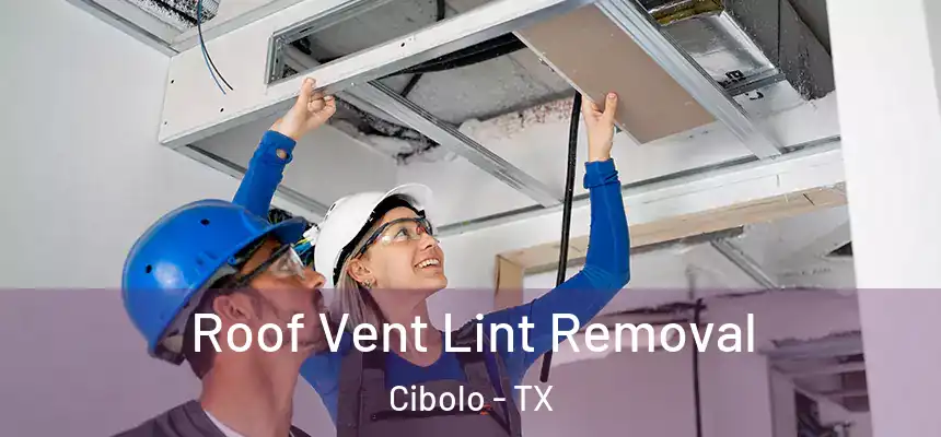  Roof Vent Lint Removal Cibolo - TX