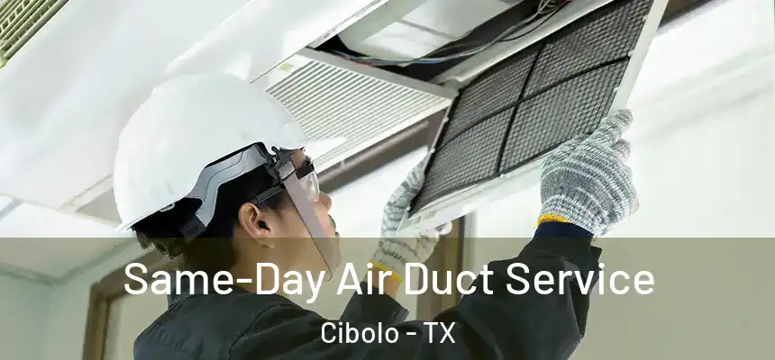 Same-Day Air Duct Service Cibolo - TX
