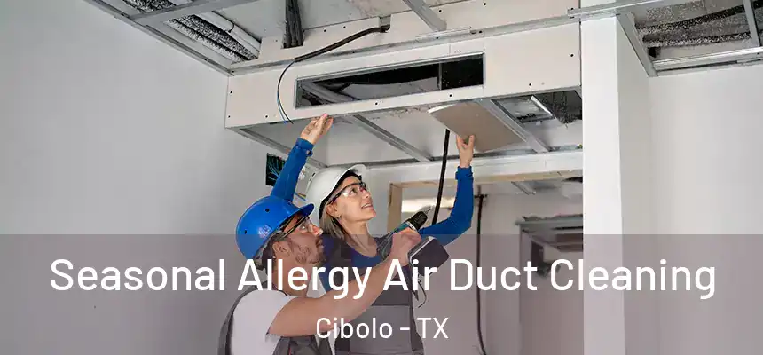 Seasonal Allergy Air Duct Cleaning Cibolo - TX
