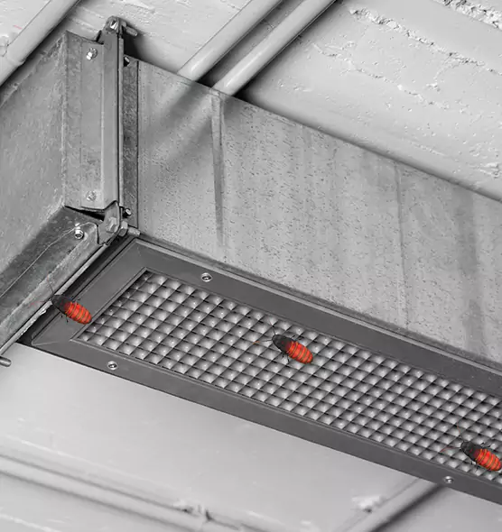 About Air Duct Cockroach Removal in Cibolo, TX
