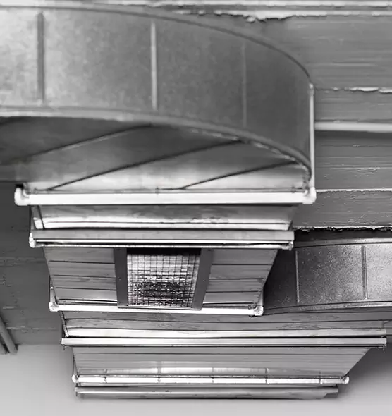 Professional Air Duct Pest Removal in Cibolo, TX