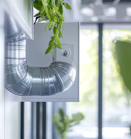 Professional Eco-Safe Dryer Vent Cleaning in Cibolo, TX