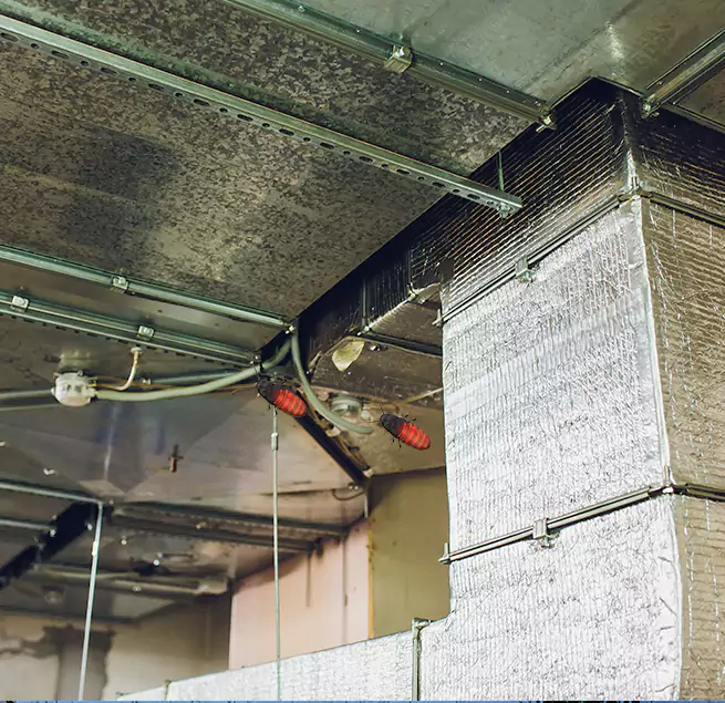 Why Homeowners & Businesses Trust Us in Cibolo, TX?