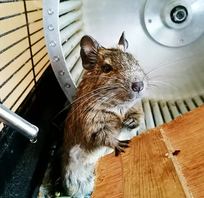 Why Homeowners & Businesses Trust Us Cibolo, TX?