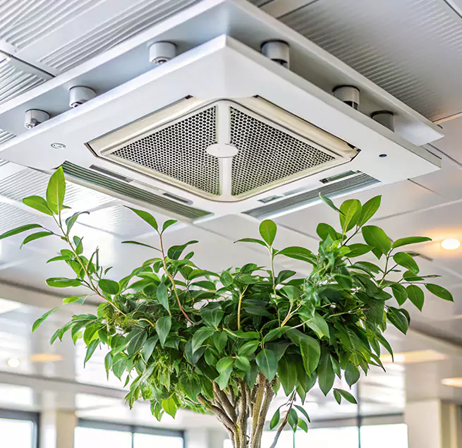 Why Homeowners & Businesses Trust Us in Cibolo, TX?