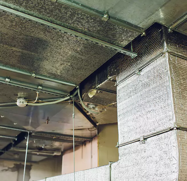 Why Homeowners & Businesses Trust Us in Cibolo, TX?