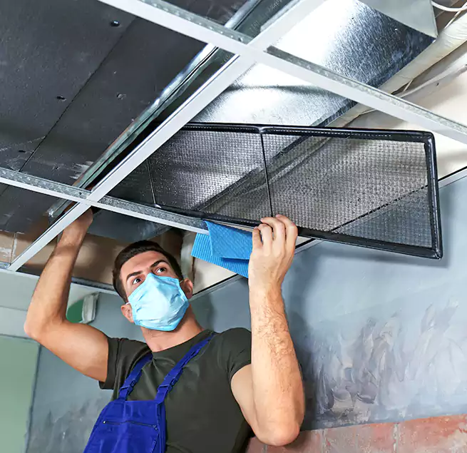 Why Homeowners Businesses Trust Us in Cibolo, TX