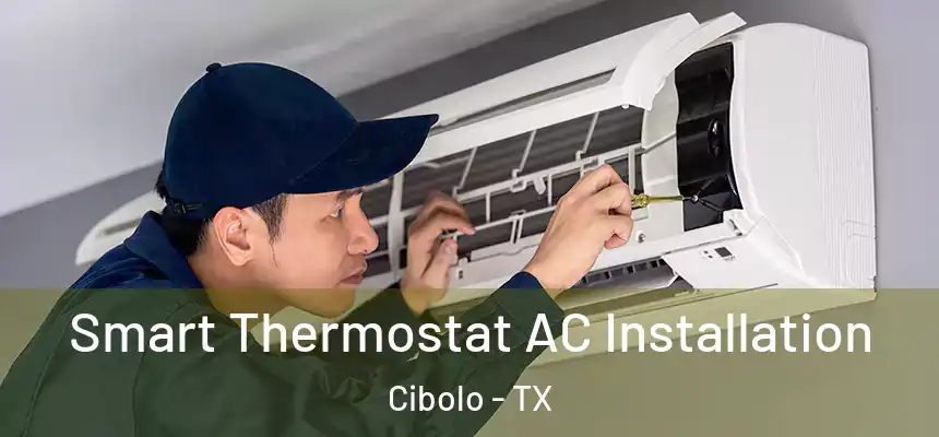  Smart Thermostat AC Installation Cibolo - TX